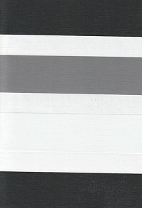 Рулонные шторы день-ночь для проема Салерно, серый 2002 купить в Можайске с доставкой